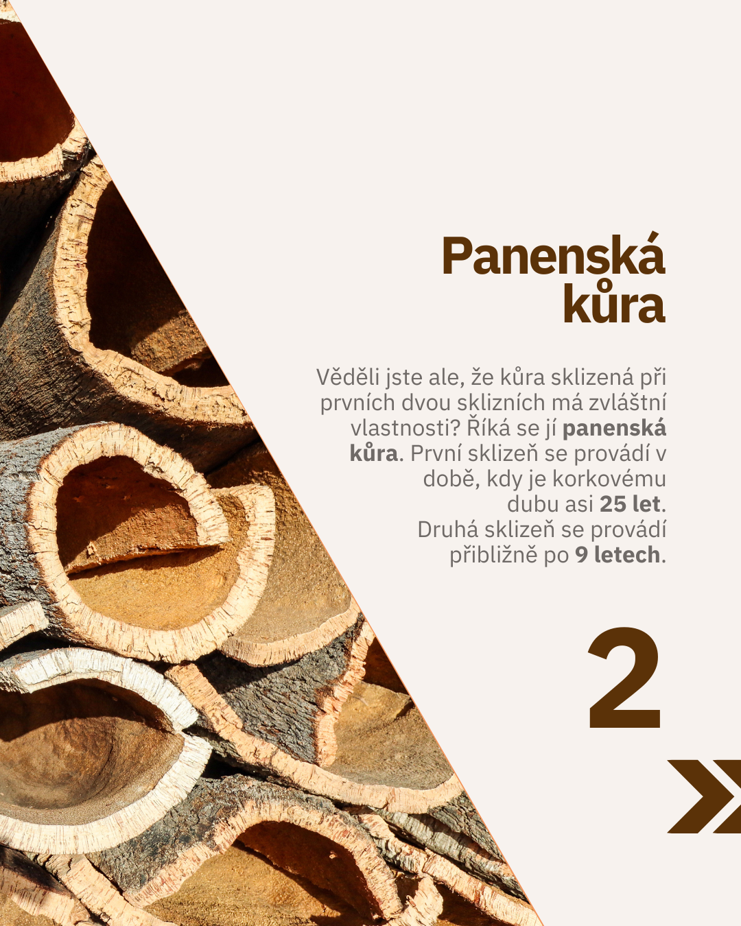 Ukázka 14
